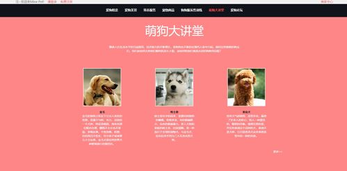 宠物狗个性化服务网站前端设计 —— 基于HTML5与DIV+CSS的静态网页实现